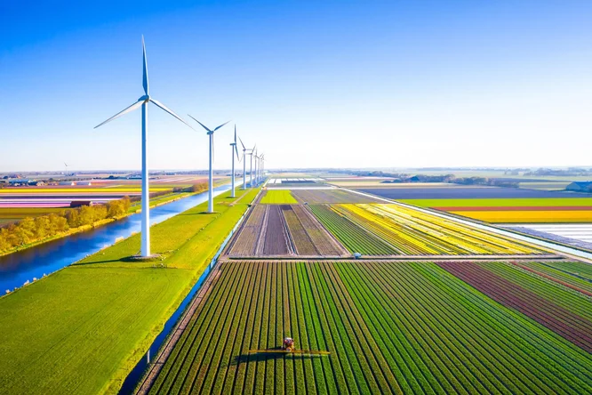 Eine malerische Luftaufnahme zeigt Windkraftanlagen, die sich über leuchtende, bunte Felder erheben. Die Landschaft präsentiert ordentlich angelegte Reihen von Nutzpflanzen in verschiedenen Farbtönen, die von einem Kanal unter strahlend blauem Himmel gesäumt werden. Das Bild unterstreicht die Bedeutung erneuerbarer Energien und nachhaltiger Landwirtschaft.